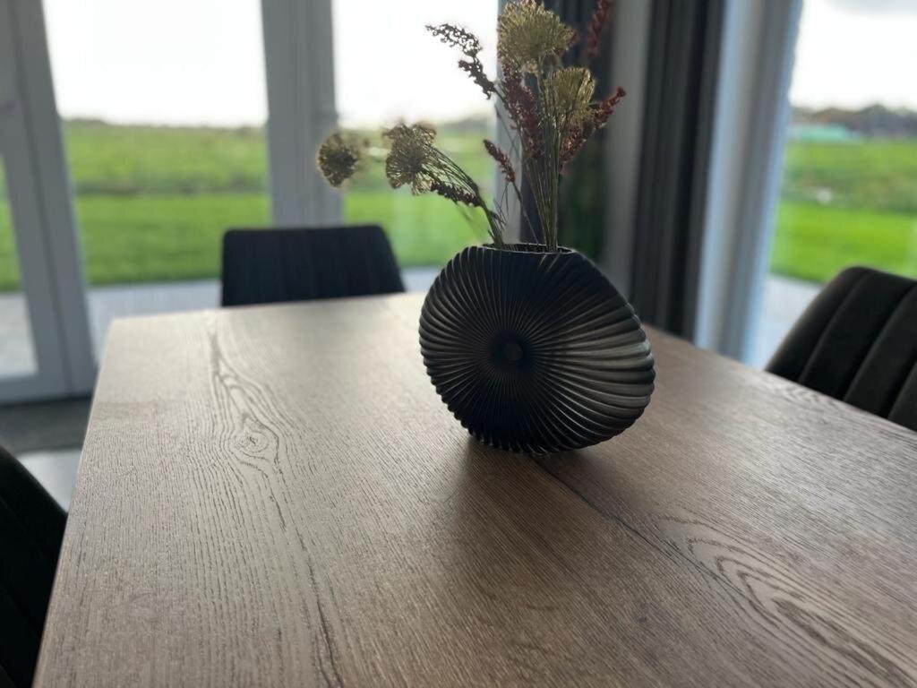 Kuh Blick Ferienhaus Sehestedt Sehestedt  Kültér fotó